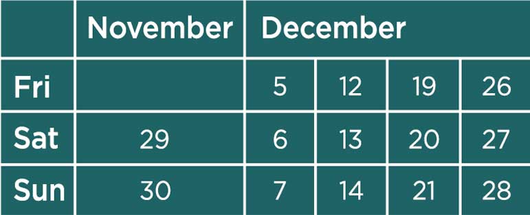 Holiday calendar showing November and December dates
